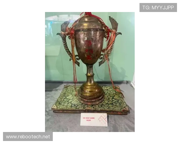 中国环法自行车赛奖牌（环法自行车赛冠军奖金是多少）sports